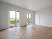 Palangos m. sav., Palangos m., Palanga - nuotraukos Nr. 7