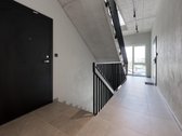 Palangos m. sav., Palangos m., Palanga - nuotraukos Nr. 20