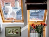 Kviečiame Į Atvirus Namus Spalio 13 D. - nuotraukos Nr. 8