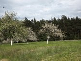 Vilniaus r. sav., Kalvelių k. - nuotraukos Nr. 29