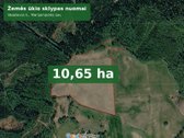 Nuomojamas  žemės ūkio paskirties sklypas - nuotraukos Nr. 2