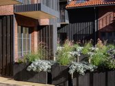 - Nauji Apartamentai Nidos Centre - - nuotraukos Nr. 7