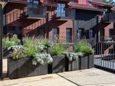 - Nauji Apartamentai Nidos Centre - - nuotraukos Nr. 22