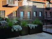 - Nauji Apartamentai Nidos Centre - - nuotraukos Nr. 2