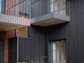 - Nauji Apartamentai Nidos Centre - - nuotraukos Nr. 5