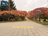 ? Parduodamas jaukus ir patogiai suplanuotas - nuotraukos Nr. 17
