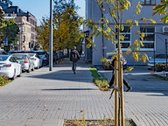Parduodamos Studijos Naujame Projekte - nuotraukos Nr. 26