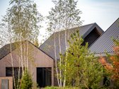 Pilialaukio Šilas – Apgalvotai Kurtas - nuotraukos Nr. 5