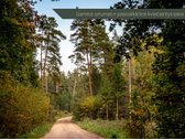 Pilialaukio Šilas – Apgalvotai Kurtas - nuotraukos Nr. 36