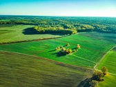 Parduodama sodyba - vienkiemis Bardiškėlių k. - nuotraukos Nr. 22
