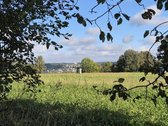 Parduodama išskirtinė didelė sodyba Pypliuose - nuotraukos Nr. 7