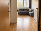 Išnuomojamas šviesus ir šiltas 1 kambario, 14 - nuotraukos Nr. 4