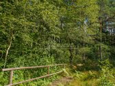 Parduodamas 20 a. sklypas – unikali vieta - nuotraukos Nr. 4