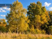 „Pirkite žemę – jos daugiau niekas nebegamina - nuotraukos Nr. 3