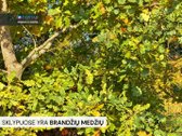 „Pirkite žemę – jos daugiau niekas nebegamina - nuotraukos Nr. 4