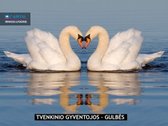 „Pirkite žemę – jos daugiau niekas nebegamina - nuotraukos Nr. 24