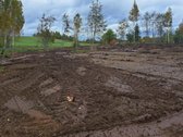 1,36 ha namų valdos sklypas prie Bebrusų upės - nuotraukos Nr. 8