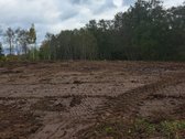 1,36 ha namų valdos sklypas prie Bebrusų upės - nuotraukos Nr. 9
