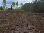 1,36 ha namų valdos sklypas prie Bebrusų upės - nuotraukos Nr. 10