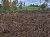 1,36 ha namų valdos sklypas prie Bebrusų upės - nuotraukos Nr. 12