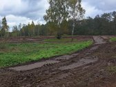 1,36 ha namų valdos sklypas prie Bebrusų upės - nuotraukos Nr. 13
