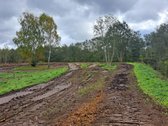 1,36 ha namų valdos sklypas prie Bebrusų upės - nuotraukos Nr. 14