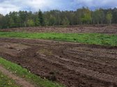1,36 ha namų valdos sklypas prie Bebrusų upės - nuotraukos Nr. 17
