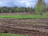 1,36 ha namų valdos sklypas prie Bebrusų upės - nuotraukos Nr. 18