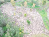 1,36 ha namų valdos sklypas prie Bebrusų upės - nuotraukos Nr. 2