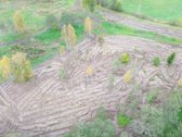 1,36 ha namų valdos sklypas prie Bebrusų upės - nuotraukos Nr. 7