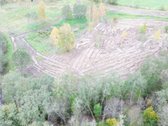 1,36 ha namų valdos sklypas prie Bebrusų upės - nuotraukos Nr. 6