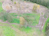 1,36 ha namų valdos sklypas prie Bebrusų upės - nuotraukos Nr. 4