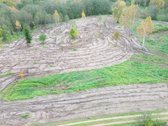 1,36 ha namų valdos sklypas prie Bebrusų upės - nuotraukos Nr. 5