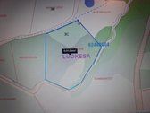 1,36 ha namų valdos sklypas prie Bebrusų upės - nuotraukos Nr. 19