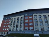 Išnuomojamas jaukus ir šviesus vieno kambario - nuotraukos Nr. 12