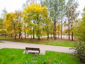 Šviesus Ir Šiltas 2 Atskirų Kambarių Butas - nuotraukos Nr. 11