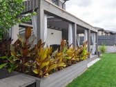 Parduodamas pilnai įrengtas 138 m² namas - nuotraukos Nr. 33