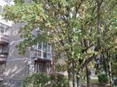 Išnuomojamas erdvus, jaukus 2 kambarių butas - nuotraukos Nr. 15
