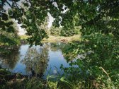 Parduodama Sodyba Su 2,36 Ha Sklypu, Ūkiniais - nuotraukos Nr. 40