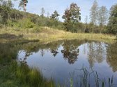 Parduodamas gražioje vietoje sklypas Jonavos - nuotraukos Nr. 5