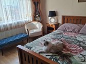 Parduodamas šviesus ir šiltas 2 kambarių - nuotraukos Nr. 6