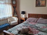 Parduodamas šviesus ir šiltas 2 kambarių - nuotraukos Nr. 7