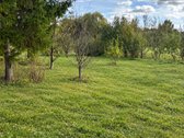 Parduodamas erdvus 25,39 a sklypas ramioje ir - nuotraukos Nr. 9
