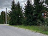 Parduodamas erdvus 25,39 a sklypas ramioje ir - nuotraukos Nr. 10