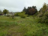 Parduodami du sodo sklypai: vienas - 5.86a ir - nuotraukos Nr. 4