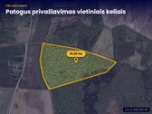 Parduodamas  brandus lapuočių miškas 16,30 - nuotraukos Nr. 4