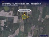  Parduodamas  brandus lapuočių miškas 16,30 - nuotraukos Nr. 5