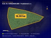  Parduodamas  brandus lapuočių miškas 16,30 - nuotraukos Nr. 6