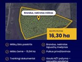  Parduodamas  brandus lapuočių miškas 16,30 - nuotraukos Nr. 2