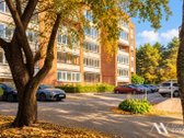 Jūra, pušynas ir Palangos gyvenimas čia tampa - nuotraukos Nr. 19